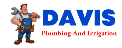 Trusted plumber in SARDIS